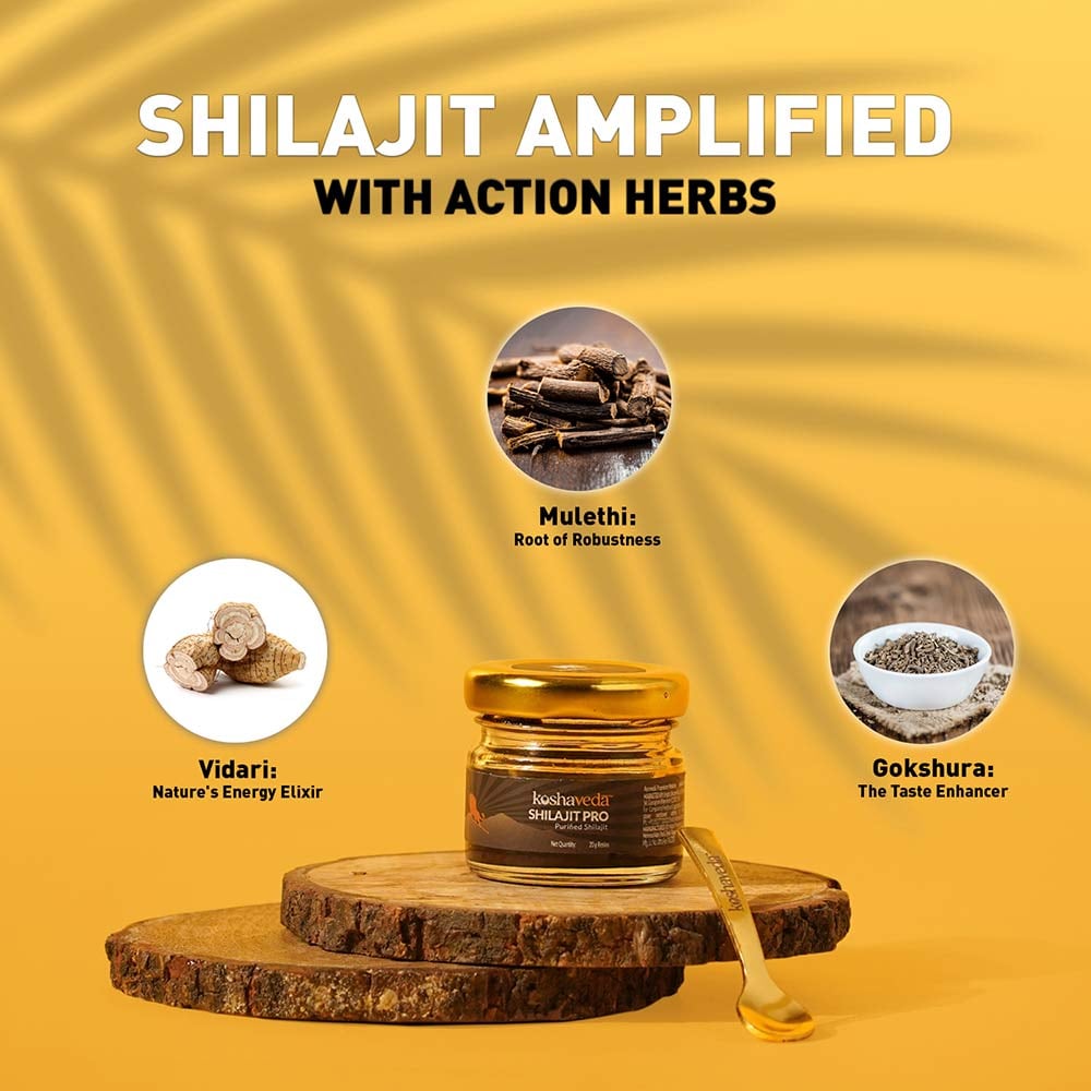 MuscleBlaze Koshaveda Shilajit Pro 20g